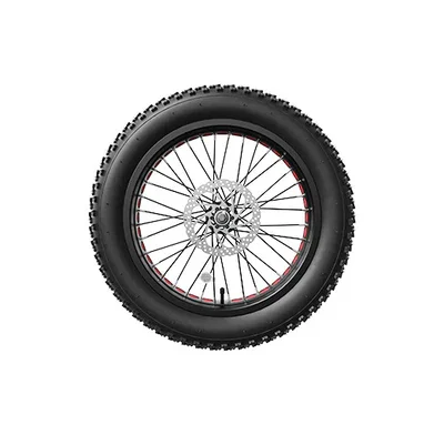 Roue avant pour vélo électrique LANKELEISI